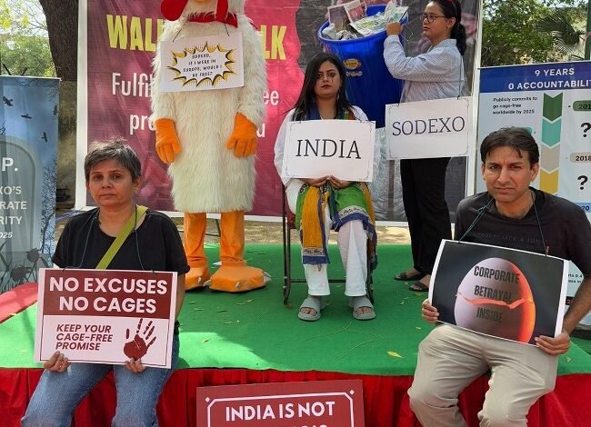 Animal Rights Groups Slam Sodexo for Neglecting Cage-Free Egg Promise in India