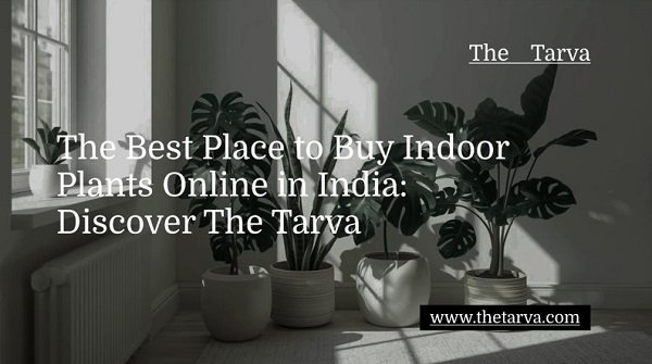 The Best Place to Buy Indoor Plants Online in India: Discover The Tarva